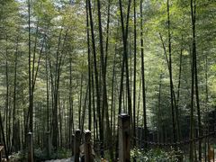 -天目湖御水温泉·度假酒店