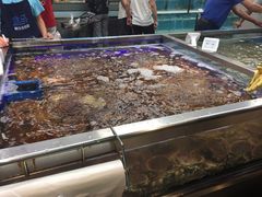 -盒马鲜生(大成店)
