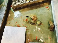 -小隐足道·按摩·主题SPA馆(西红门店)