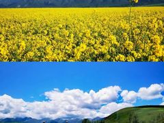 -扁都口生态休闲旅游区