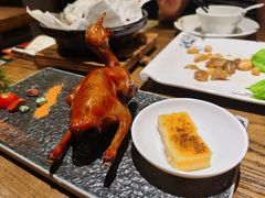 红烧鸽-大鸽饭(岗顶店)