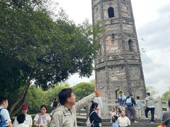 -上海佘山国家森林公园天马山园