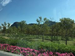 -塞罕坝国家级自然保护区