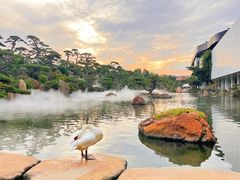 -罗红摄影艺术馆