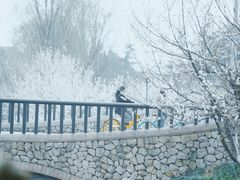 -国际非物质文化遗产博览园