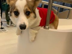 -怪兽屋·羊驼·猫咖·狗咖(俊华广场店)