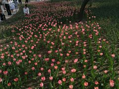 -长春公园(普阳街道)