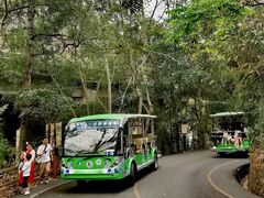 -西双版纳原始森林公园