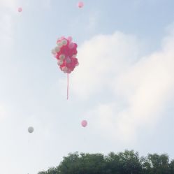 -虹桥迎宾馆·宴会厅