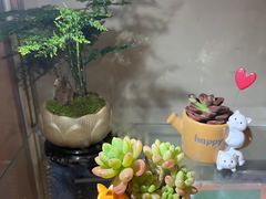 -德瑞姆心理咨询旗舰店