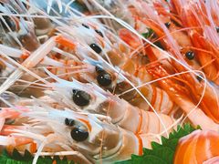 -Mr·Fish鱼鲜生海鲜放题(银泰in99店)