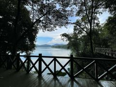 -广州市流溪河国家森林公园