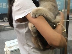 -康乐宝动物医院