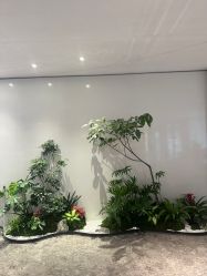 -广州美莱医疗美容医院