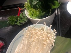 -捞王猪肚鸡火锅(财富中心店)