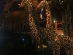 -清迈夜间动物园