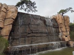 -石家庄市植物园