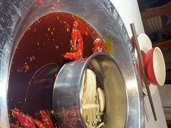 -大龙燚·旷野鲜火锅(广州首店)