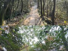 -杭州半山国家森林公园