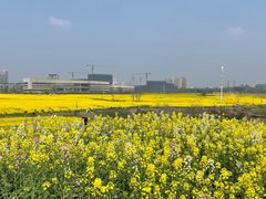 -三圣花乡旅游区