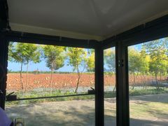 -漩门湾国家湿地公园