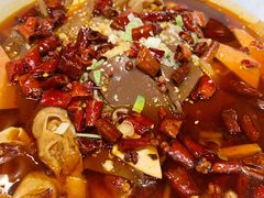 精品毛血旺-东兴楼饭庄(六里桥店)