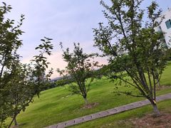 -南京医科大学(江宁校区)