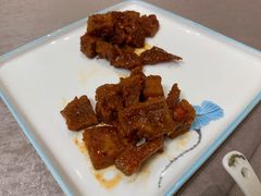-丁老爷子苏香圆