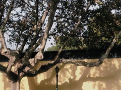 -江苏省美术馆(长江路新馆)