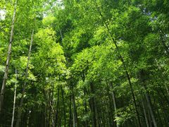 -宝岩生态观光园