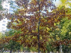 -东北大学(南湖校区)