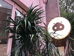 -WHEN PIGS FLY当猪飞