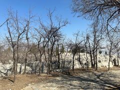 -原山国家森林公园