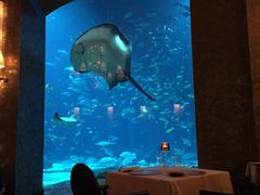 -迪拜帆船酒店海底餐厅