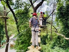 -芦仙山景区-飞越丛林探险乐园