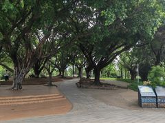 -莲花山公园