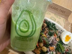 -油梨树AVOCADO TREE(嘉里中心店)