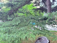 -青岛德国总督楼旧址博物馆