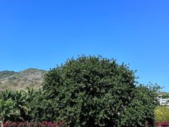 -三亚南山文化旅游区