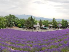 -富田农场