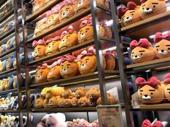 -KAKAO FRIENDS(弘大店)