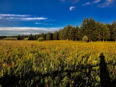 -塞罕坝国家级自然保护区