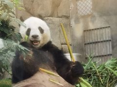 -香港海洋公园