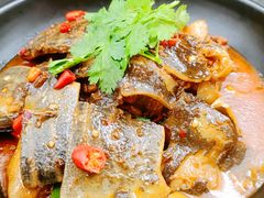 甲鱼-泰米厨房·地道湘菜(金马坊店)