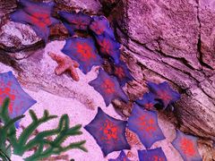 -沈阳海洋探索中心