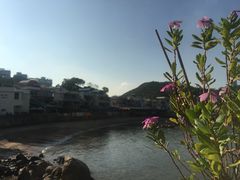 -南丫岛