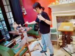-猫色咖啡·猫咖