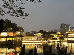 -荔湾湖公园