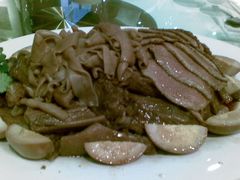 -金燕岛潮州酒楼