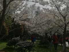 -堤角公园